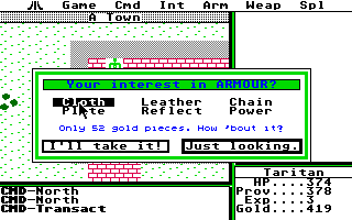 [Screen-shot: Shopping for armour]